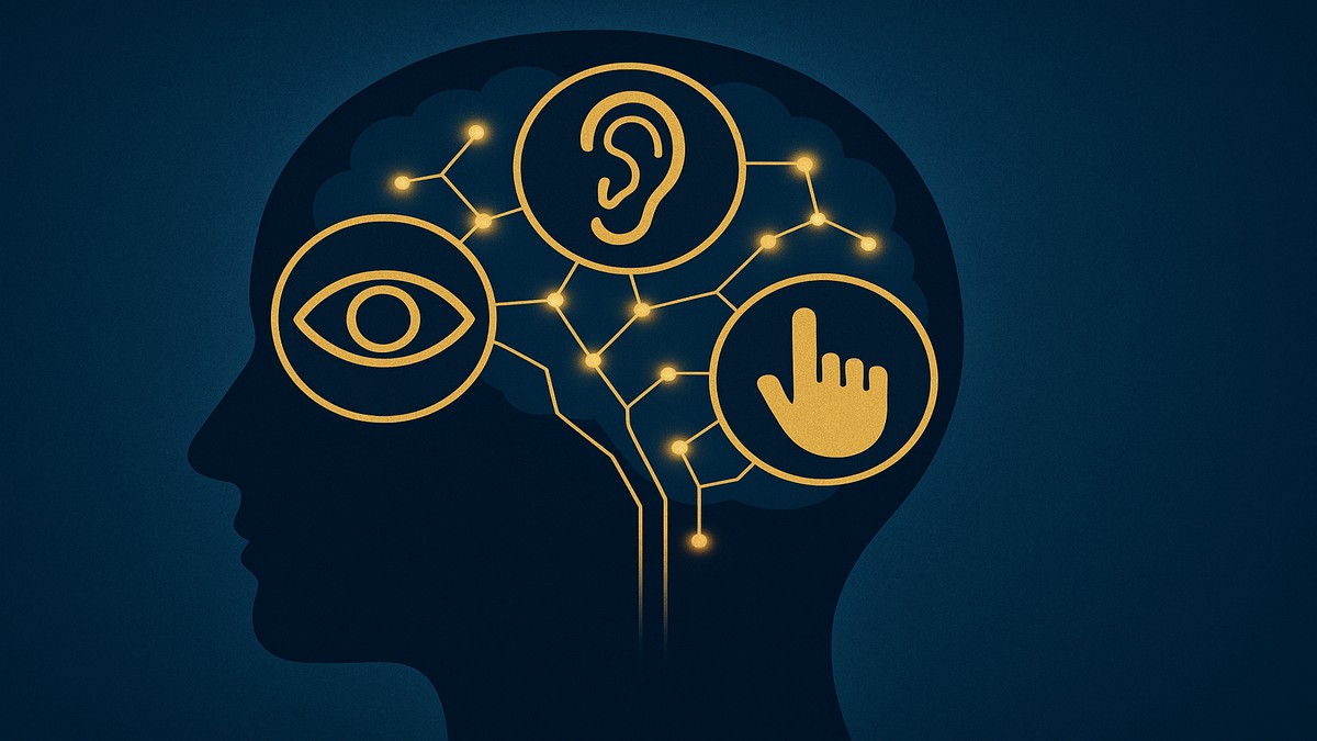 Sistemas representacionales VAK en PNL: visual, auditivo y kinestésico — cómo identificarlos y usarlos